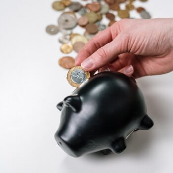 Investment Forecaster