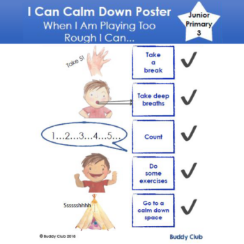 3. Poster - Playing Rough